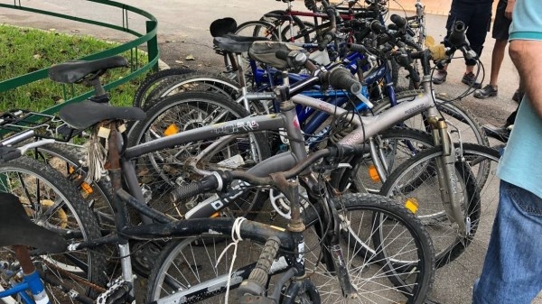 El Ayuntamiento de Elche entrega de 70 bicicletas al Colegio Salesiano