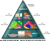 Taller de nutrició