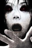 Exposició de llibres de terror.