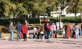 Endavant la Fira d'Intercanvi  -  Adelante la Feria de Intercambio