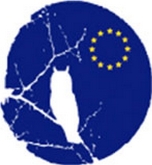 La Noche de los Investigadores - 24 de septiembre de 2010. Participa en La Noche de los Investigadores, ven a la fiesta europea de la ciencia