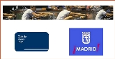 V Open Intercomunitario de Regoergómetro (Categorías Superiores)