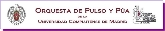 Concierto Orquesta de Pulso y Púa.