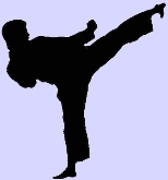 Karate. XXIX Trofeo Internacional Villa de Madrid de Karate