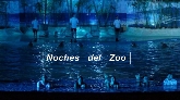 Las noches del Zoo