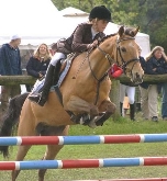 Hípica. Campeonato de Europa de Saltos