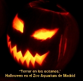 “Terror en los océanos.' Halloween en el Zoo Aquarium de Madrid