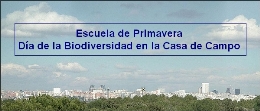 Escuela de Primavera. Día de la Biodiversidad en la Casa de Campo