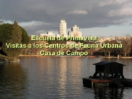 Escuela de Primavera. Visitas a los Centros de Fauna Urbana. Casa de Campo