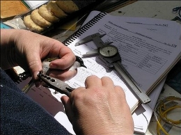 Escuela de Primavera. Descubre las aves. Talleres de anillamiento científico