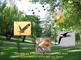 Escuela de Primavera. Descubre las aves. Gymkhana en el Parque del Oeste