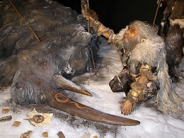 Exposición. El Hombre Neandertal y los Mamuts
