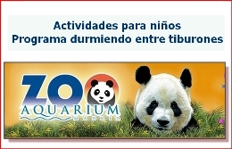 Actividades para niños. Programa durmiendo entre tiburones.