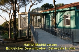 Hábitat Madrid verano. Exposición 'Descampados'. Dehesa de la Villa