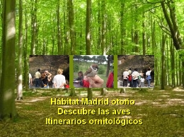 Hábitat Madrid otoño. Descubre las aves. Itinerarios ornitológicos
