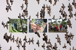 Hábitat Madrid otoño. Descubre las aves. Talleres de iniciación a la Ornitología