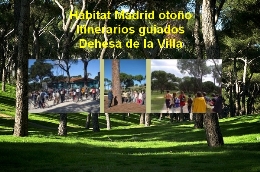Hábitat Madrid otoño. Itinerarios guiados. Dehesa de la Villa