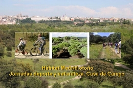 Hábitat Madrid otoño. Jornadas deporte y naturaleza. Casa de Campo