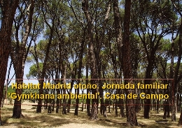 Hábitat Madrid otoño. Jornada familiar 'Gymkhana ambiental'. Casa de Campo