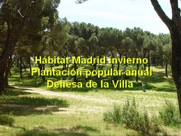 Hábitat Madrid invierno. Plantación popular anual. Dehesa de la Villa