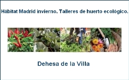 Hábitat Madrid invierno. Talleres de huerto ecológico. Dehesa de la Villa