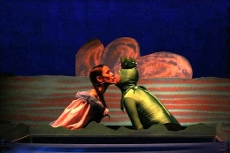 Espectáculo musical para niños. El príncipe rana