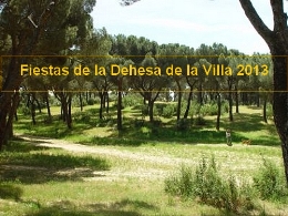 Fiestas de la Dehesa de la Villa 2013
