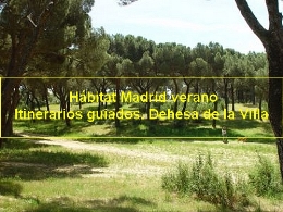 Hábitat Madrid verano. Itinerarios guiados. Dehesa de la Villa