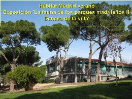 Hábitat Madrid verano. Exposición 'La fauna de los parques madrileños II: Dehesa de la villa'