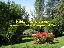 Hábitat Madrid verano. Itinerarios guiados.
