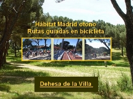 Hábitat Madrid otoño. Rutas guiadas en bicicleta. Dehesa de la Villa