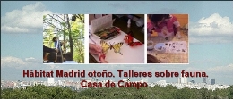 Hábitat Madrid otoño. Talleres sobre fauna. Casa de Campo