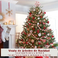 Venta de árboles de Navidad