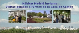 Hábitat Madrid invierno. Visitas guiadas al Vivero de la Casa de Campo