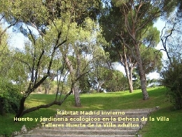 Hábitat Madrid invierno. Huerto y jardinería ecológicos en la Dehesa de la Villa. Talleres Huerta de la Villa adultos