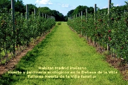 Hábitat Madrid invierno. Huerto y jardinería ecológicos en la Dehesa de la Villa. Talleres Huerta de la Villa familiar