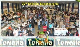 22ª Edición Expoterraria. Bolsa de reptiles, anfibios, peces, invertebrados y pequeños anfibios