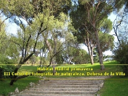 Hábitat Madrid primavera. III Curso de fotografía de naturaleza. Dehesa de la Villa