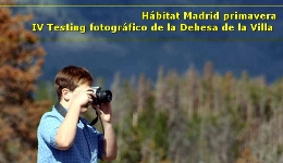 Hábitat Madrid primavera. IV Testing fotográfico de la Dehesa de la Villa