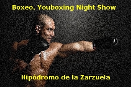 Boxeo. Youboxing Night Show