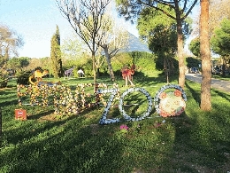 Exposición de arte floral. Primavera en Zoo Aquarium de Madrid