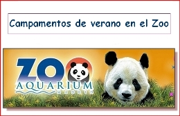 Campamento de verano. Zoo. 2015