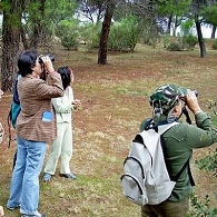 Itinerario ornitológico. Parque del Oeste