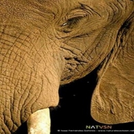 "Descubre el mundo natural"