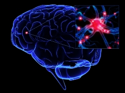 Daniel Bor: El sentido último de la vida reside en nuestras neuronas