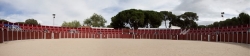 El Ayuntamiento retirará la subvención a la Escuela de Tauromaquia