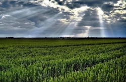 La Comunidad apuesta por impulsar el sector agrícola y ganadero de la región