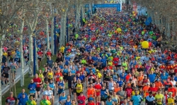 El impacto directo del Zurich  Maratón de Sevilla se incrementa  un 20% en 2016 y alcanza los  9,4 millones de euros