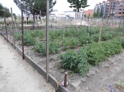 Veintinueve nuevos huertos urbanos para una ciudad más sostenible