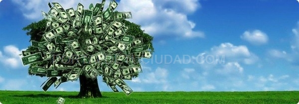 El Marketing Ecológico No Solo Está Reservado A Las Grandes Empresas…